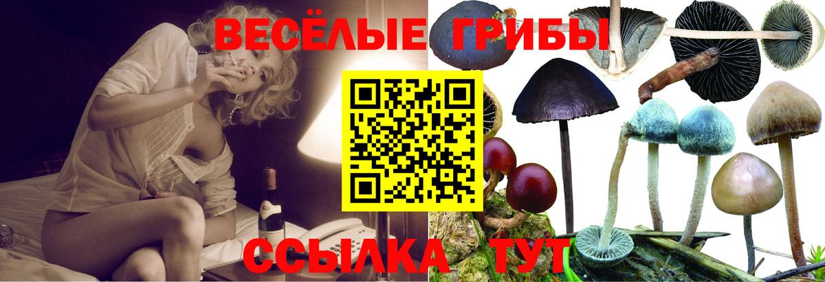 Псилоцибиновые грибы мухоморы Среднеуральск