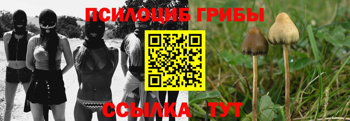 Галлюциногенные грибы мицелий  Галлюциногенные грибы GOLDEN TEACHER  Вход с VPN  Среднеуральск 